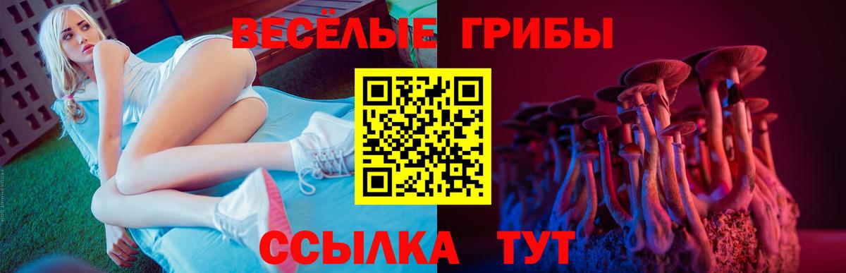 Галлюциногенные грибы MAGIC MUSHROOMS  Галлюциногенные грибы мицелий  Вход с VPN  Кашира 
