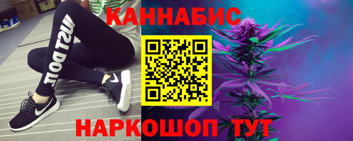 Конопля сатива Кашира